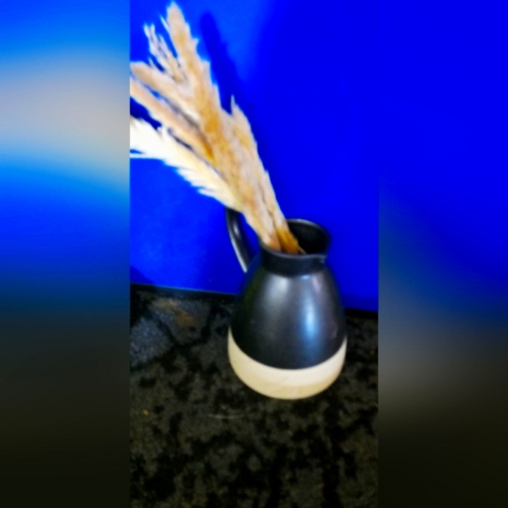 Black and Cream Ceramic Pitcher Vase with Dried Pampas